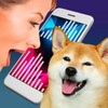 糖心糖最新版