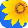 糖心糖全站版